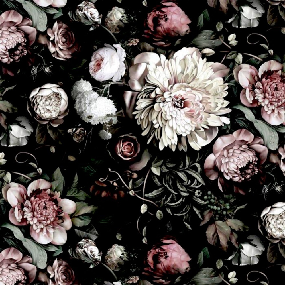 Meet your Posher, Janette